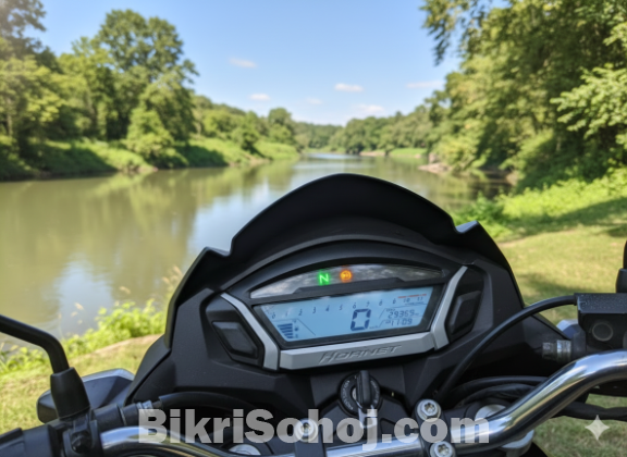 Honda Hornet 160R ABS